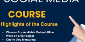 Social Media Optimization