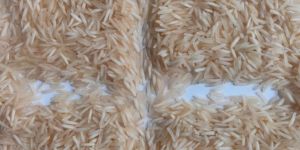 Basmati Rice