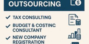 Msme and MIS Reports Services