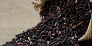 Black Rice ( Chakhao)