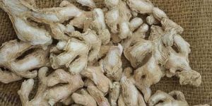 Dry Ginger