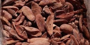 Mahua Seeds (Madhuca Indica)