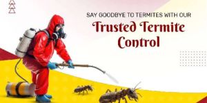 Termite Control Services