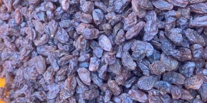 Brown Raisins