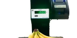 Electronic Weighing Scales