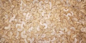 Cashew Nuts