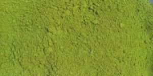 Moringa Powder
