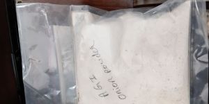 Dehydrated Onion Powder