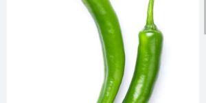 Fresh Green Chilli