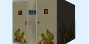 30,240 Eggs Capacity Incubator