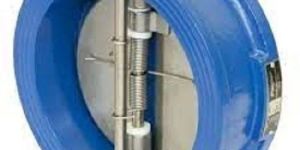 Cwd Series Dual Plate Check Valve