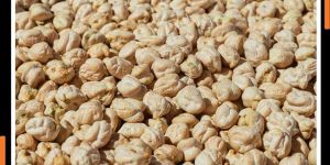 Chickpeas