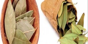 Bay Leaves