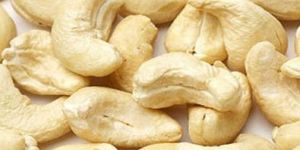 Cashew Nuts