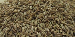 Cumin Seeds