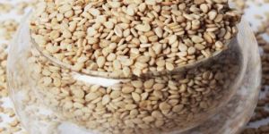 Natural Sesame Seeds