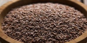 Psyllium Seeds
