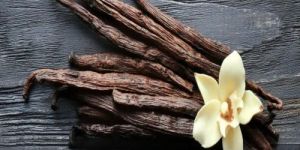 Premium Vanilla Sticks