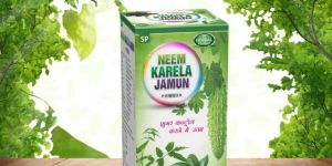 S.p Neem Karela Jamun Powder 200 G