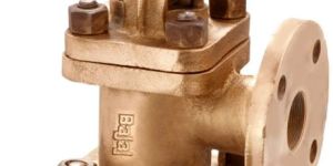 Bronze Feed Check Valves