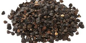 Buckwheat Seeds