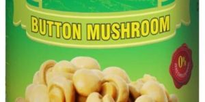 Button Mushroom