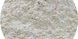 Dehydrated White Onion Powder