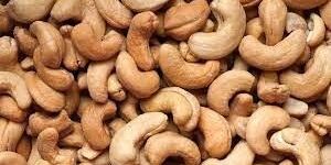Cashew Nuts