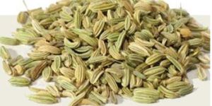 Fennel Seeds