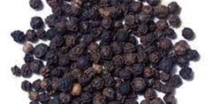Organic Black Pepper