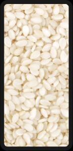 Hulled Sesame Seeds