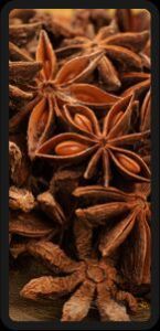 Star Aniseed