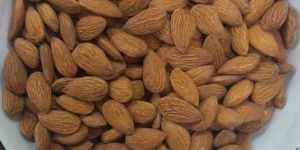 Crop Independent Jumbo Almond Kernel