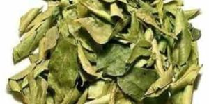 Curry Leaves Dried
