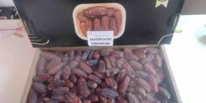 Mabroom Dates