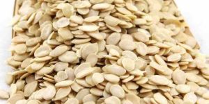 Watermelon Seeds