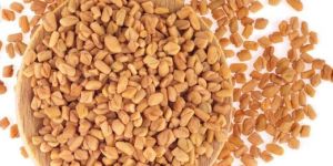 Fenugreek Seeds