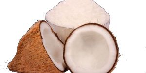 Desiccated Coconut Powder