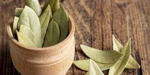 Bay Leaves