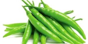 Green Chilli