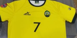 Half Sleeves Round Neck Sports Jersey T Shirt