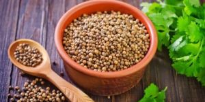 Coriander Seeds