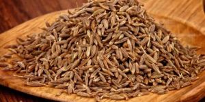 Cumin Seeds