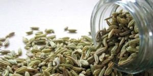 Fennel Seeds