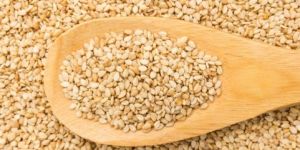 Sesame Seeds