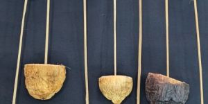 Dried Talami Flower