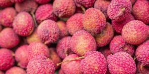 A Grade Fresh Litchi Fruit