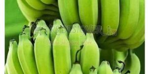 a Grade Green Banana