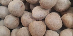 Brown Dried Whole Coconut