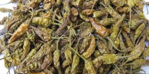 Dry Green Chilli